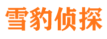 路北寻人公司